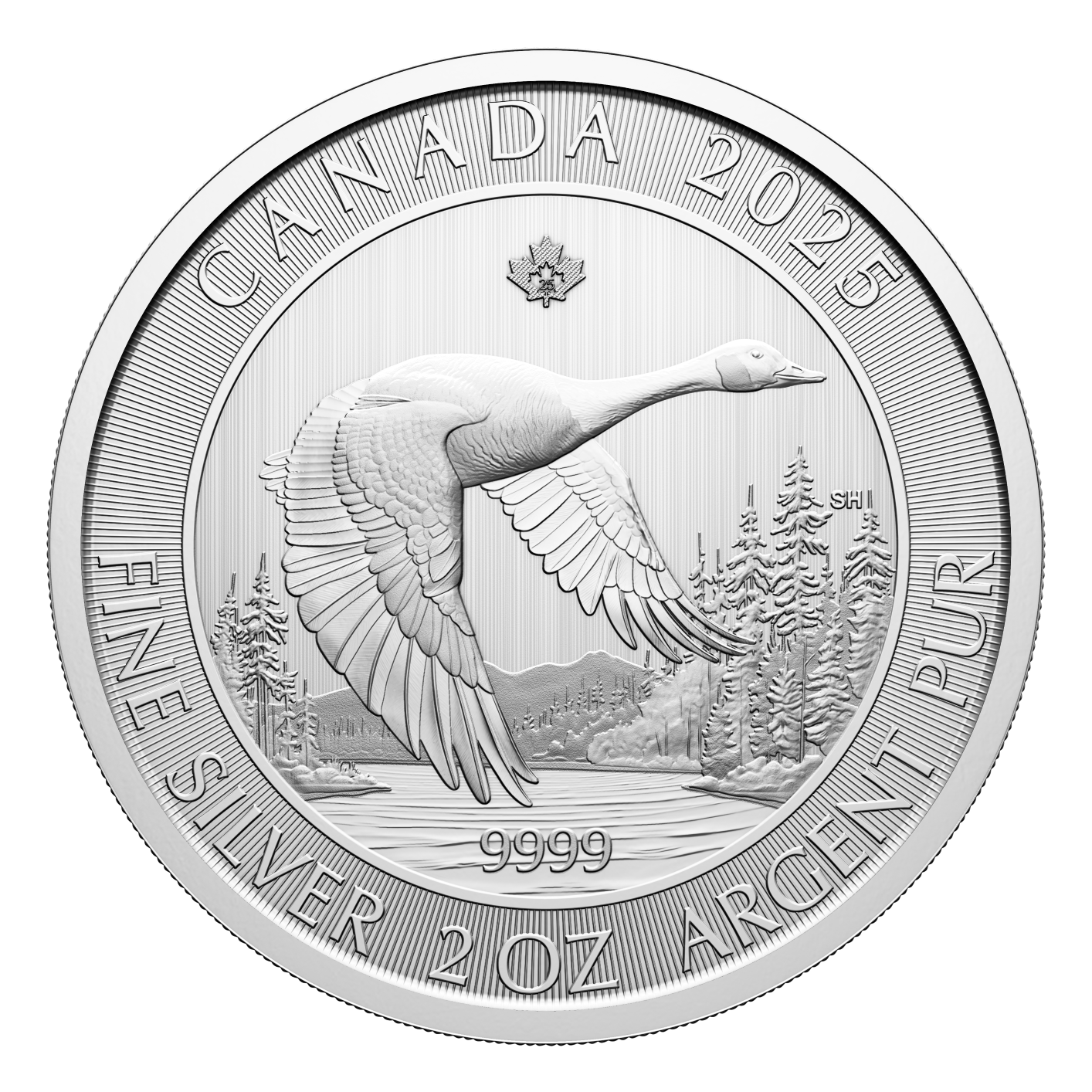 2 oz Canada Goose Silver Coin